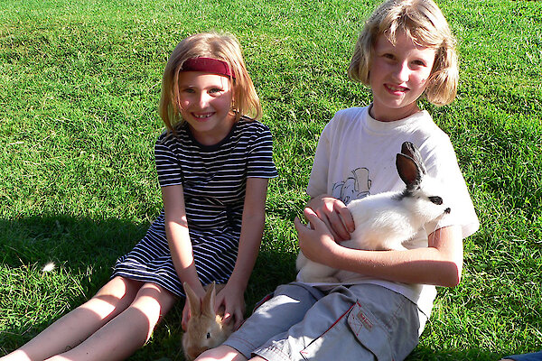 Hasen auf dem Bauernhof